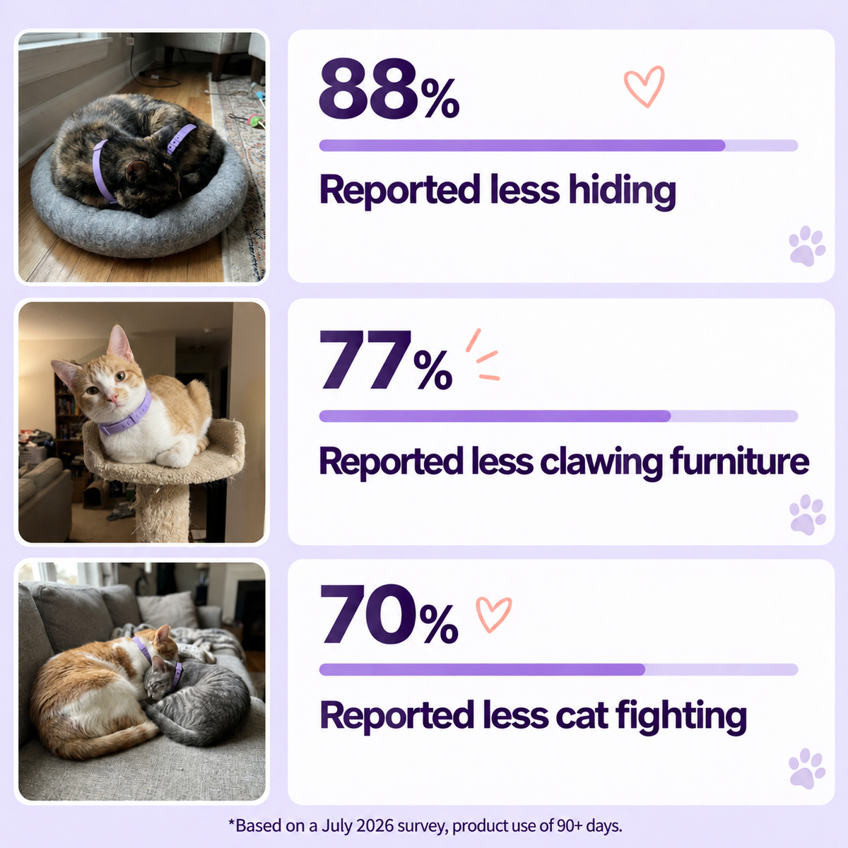Survey results from cat owners: less hiding, less clawing and less cat fighting